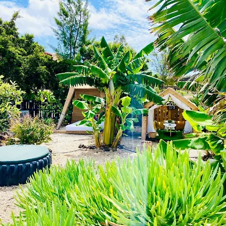 公寓 Nashira Hot Tub Piscina Y Jardin Buzanada